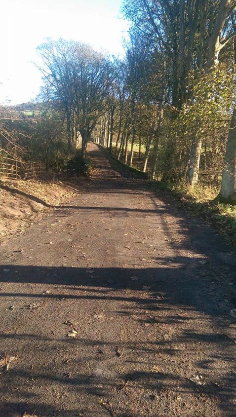 Largs Avenue had a makeover in 2015, all overgrown bushes removed and road cleaned up