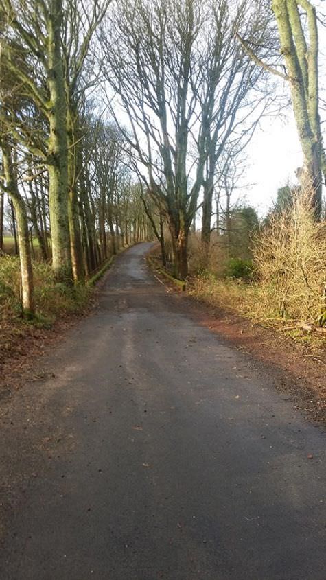 Largs Avenue had a makeover in 2015, all overgrown bushes removed and road cleaned up